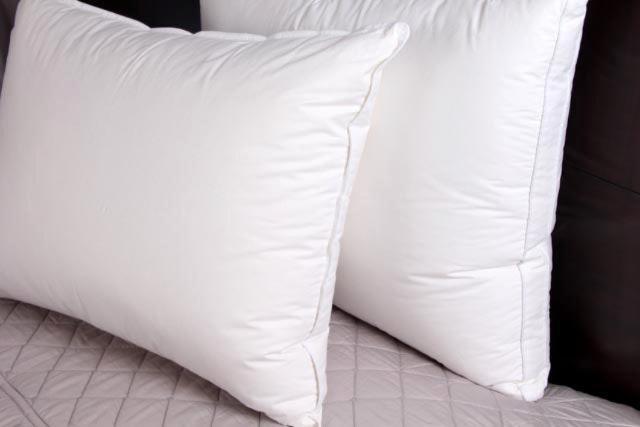 Classic 50% Down/ 50% Feather Sleeping Pillow- Medium - Down Direct