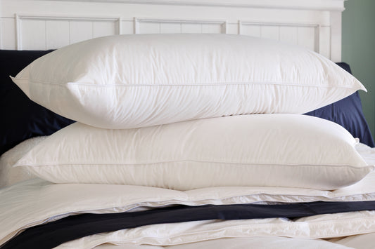 Batiste Collection Down Sleeping Pillow by Down Inc.
