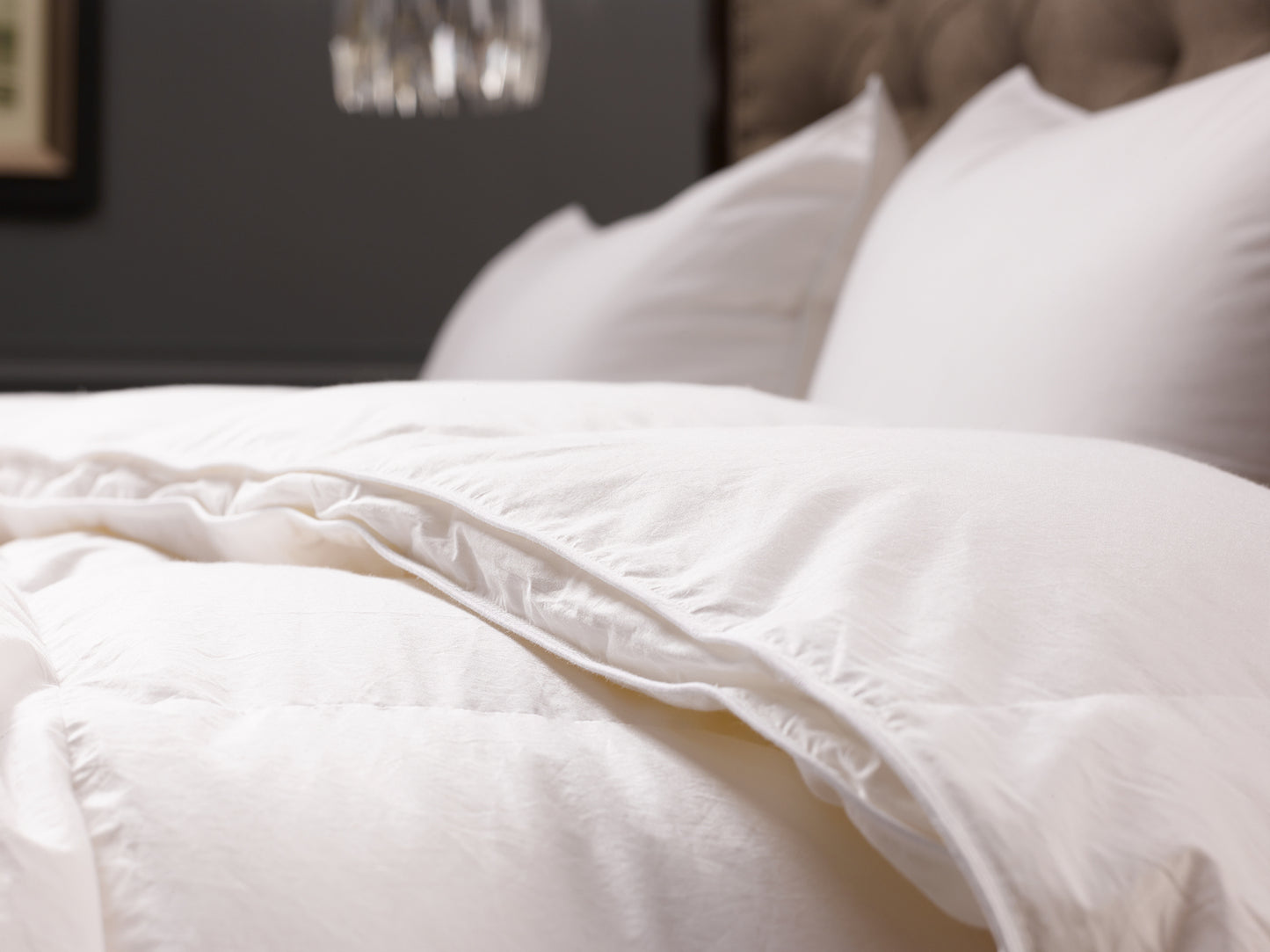 Signature Collection Down Duvet Comforter by DOWN Inc.