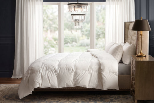 Signature Collection Down Duvet Comforter by DOWN Inc.